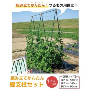 空中栽培 棚支柱 つる棚 1セット 高さ140...の詳細画像1
