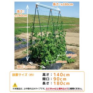 空中栽培 棚支柱 つる棚 1セット 高さ140...の詳細画像3