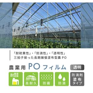 受注生産品 daim 農業用 POフィルム 透...の詳細画像2