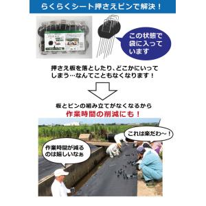 daim らくらくシート押さえピン フラットタ...の詳細画像3