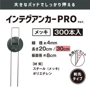 daim インテグアンカー プロ 長さ30cm...の詳細画像1