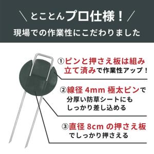 daim インテグアンカー プロ 長さ30cm...の詳細画像2