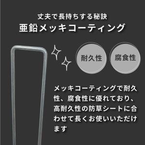 daim インテグアンカー プロ 長さ30cm...の詳細画像5