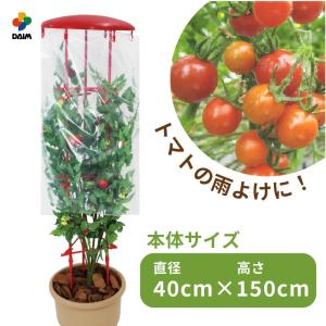 トマト 雨よけ セット 直径40cm×高さ150cm 鉢 プランター とまと 雨除けシート 鳥よけ とまとの雨やどり daim 第一ビニール