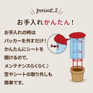 トマト 雨よけ セット 直径40cm×高さ15...の詳細画像4