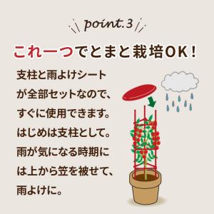 トマト 雨よけ セット 直径40cm×高さ15...の詳細画像5