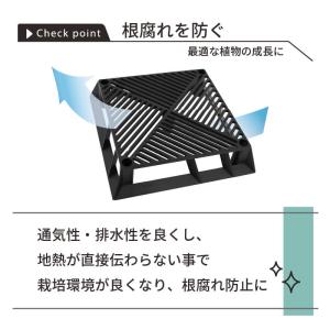 daim ブラックベース 20cm 5個 フラ...の詳細画像2