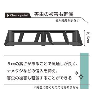 daim ブラックベース 20cm 5個 フラ...の詳細画像3