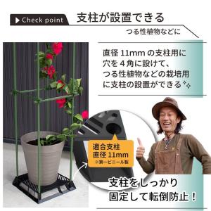 daim ブラックベース 20cm 5個 フラ...の詳細画像4