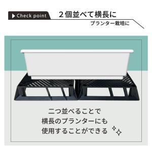 daim ブラックベース 20cm 5個 フラ...の詳細画像5