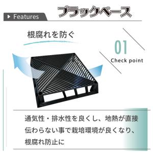 daim ブラックベース28cm+ブラック ベ...の詳細画像2