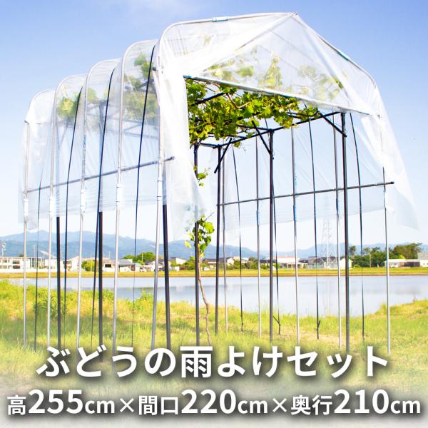daim ぶどうの雨よけセット 間口220cm×奥行210cm×高さ255cm くだもの棚 ぶどう ...