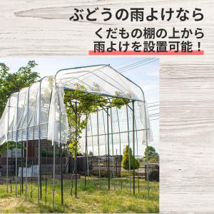 ぶどうの雨よけセット 間口220cm×奥行21...の詳細画像2