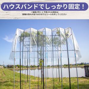 ぶどうの雨よけセット 間口220cm×奥行21...の詳細画像3