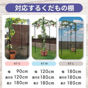 ぶどうの雨よけセット 間口220cm×奥行21...の詳細画像4