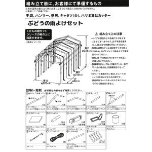 ぶどうの雨よけセット 間口220cm×奥行21...の詳細画像5