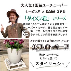 daim ホワイトベース 24cm フラワース...の詳細画像1