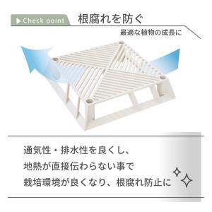 daim ホワイトベース 24cm フラワース...の詳細画像2