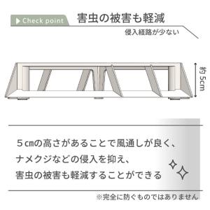 daim ホワイトベース 24cm フラワース...の詳細画像3