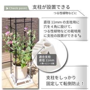 daim ホワイトベース 24cm フラワース...の詳細画像4