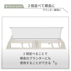 daim ホワイトベース 24cm フラワース...の詳細画像5