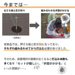 daim 防草シート押さえ 楽釘アンカー 長さ...の詳細画像2