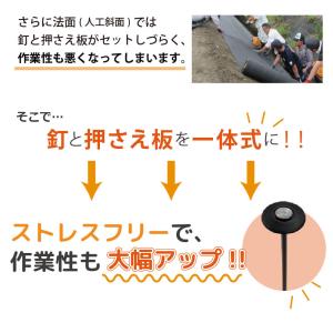 daim 防草シート押さえ 楽釘アンカー 長さ...の詳細画像3