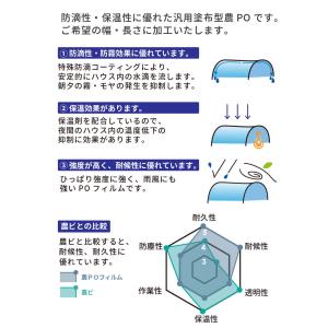 受注生産品 daim 農業用 POフィルム 透...の詳細画像3