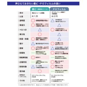 受注生産品 daim 農業用 POフィルム 透...の詳細画像5