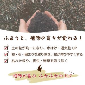 【カーメン君×daim コラボ】daim ふる...の詳細画像2