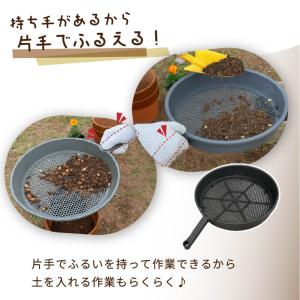 【カーメン君×daim コラボ】daim ふる...の詳細画像4