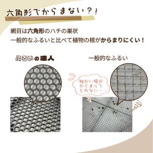 【カーメン君×daim コラボ】daim ふる...の詳細画像5