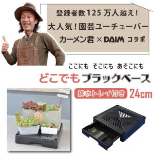 daim どこでもブラックベース 24cm 排...の詳細画像1