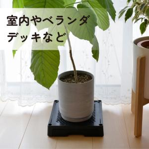 daim どこでもブラックベース 24cm 排...の詳細画像3