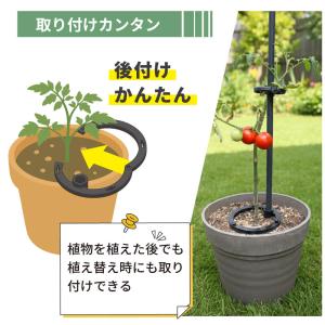 daim 倒れない支柱ベース ぐらつき防止 直...の詳細画像2
