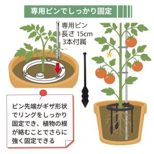 daim 倒れない支柱ベース ぐらつき防止 直...の詳細画像3