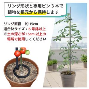 daim 倒れない支柱ベース ぐらつき防止 直...の詳細画像5