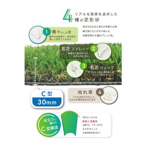 人工芝 カットサンプル 20cm×20cm C...の詳細画像3