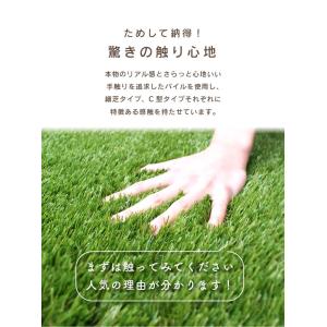人工芝 カットサンプル 20cm×20cm C...の詳細画像5