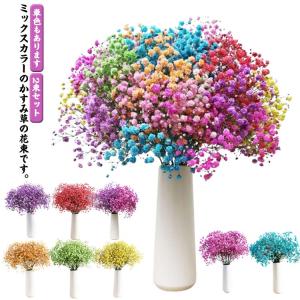 大さいサイズ ドライフラワー ボリューム カスミソウ かすみ草 花束 ブーケ 退職祝い 送別 誕生日 ウエディング 2束セット 花 祝い プレゼント｜daim-store