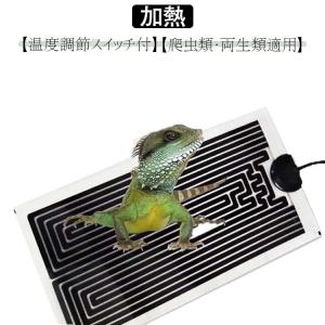 温度調節可能 両生類 ヒーター 爬虫類・両生類適用 小動物用 ペット用ヒーター 加熱マット マルチパネルヒーター ヒーター ハムスター シート ペット｜daim-store