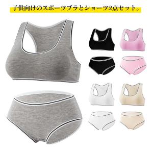 送料無料 スポーツブラ ショーツ 上下セット インナー ジュニア向け 綿 2点セット 子供用下着 肌着 ブラトップ カップ付き 女の子 ダンスインナー｜daim-store