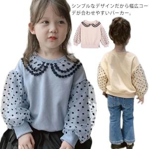 パーカー 女児 トレーナー キッズ 女の子 スウェット トップス 長袖 袖チュール 丸襟 子供服 春秋 ベビー服 ドット柄 プルオーバー 結婚式 通園｜daim-store