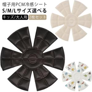 【新品未使用】バイオフリーズ★2本セット★ バイオフリーズ(BIOFREEZE) 110g チューブタイプ x2本 + お試し