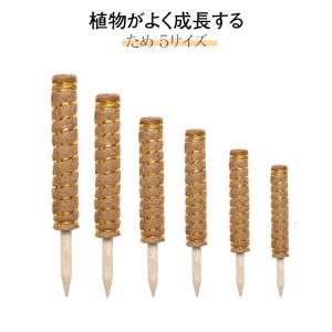 支柱 モンステラ 園芸支柱 ココスティック 蔓 植物支柱 連結 ココスティック ガーデン ポトス 花ささえ 観葉支柱 延長 ココナッツ ココナッツ支柱｜daim-store