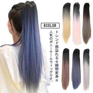 ウィッグ ポニーテール ストレート グラデーション ポイントウィッグ クリップ式 エクステ ナチュラル つけ毛 ロング レディース ヘアメイク コスプ｜daim-store