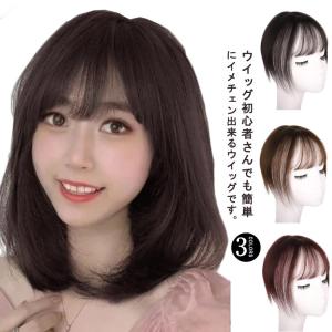 部分ウィッグ ポイントウィッグ ヘアピース ウィッグ かつら 白髪隠し 頭頂部 薄毛対策 トップカバー ナチュラル ボリュームアップ 前髪 通気性 軽｜daim-store