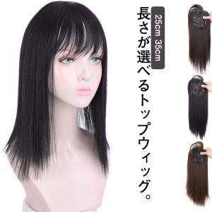 送料無料 かつら 薄毛対策 ウィッグ トップカバー 部分ウィッグ 人毛ウィッグ 自然 白髪隠し 前髪ウィッグ かつら 増毛 セミロング ショート ポイ｜daim-store