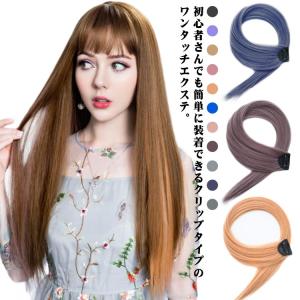 ワンタッチ エクステ メッシュ 自然 カラーエクステ ウィッグ 襟足 ロング 送料無料 つけ毛 グラデーション エクステンション ワンタッチエクステ｜daim-store