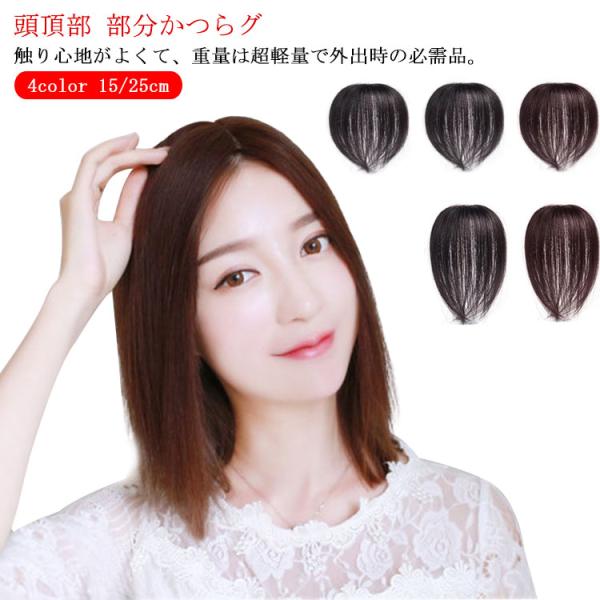 人毛 部分ウィッグ 15cm 25cm 部分ウィッグ 送料無料 ウィッグ かつら ポイントウィッグ ...